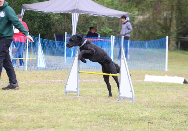 80-Thomas Nordgerling